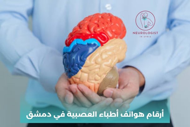 أرقام هواتف أطباء العصبية في دمشق أرقام هواتف أطباء العصبية في دمشق