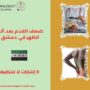 ضعف القدم بعد ألم الظهر في دمشق